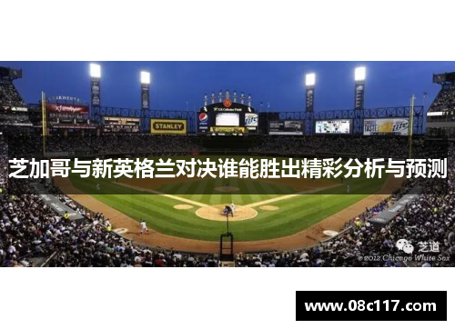 芝加哥与新英格兰对决谁能胜出精彩分析与预测